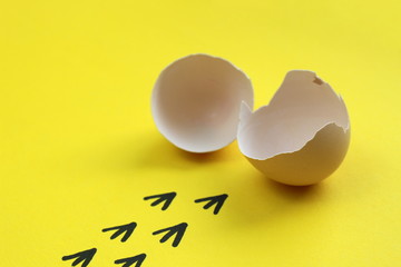 the chick hatched and left leaving the shells and marks 