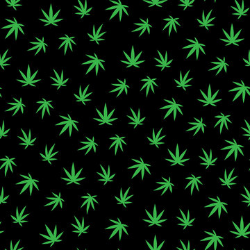 A lot of cannabis leaves. Green leaves on a black background