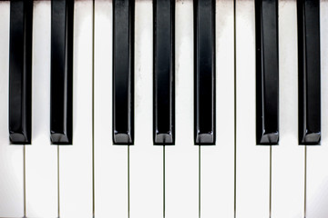 Naklejka premium The keys of the piano