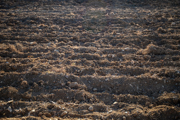 Plowed land background