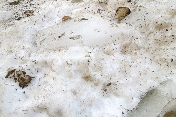 Dirty spring thawed snow. A white background.