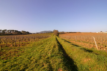 Saint-Chinian, France