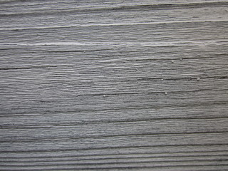 Fototapeta premium wood texture old grey wall abstract tree