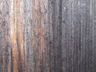 wood texture old brown wall abstract