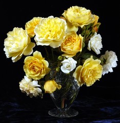 Beautiful Roses.