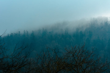 Obraz na płótnie Canvas Beautiful landscape of the Ukrainian mountain village during fog
