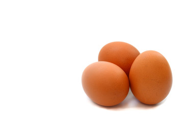 chicken eggs on white background