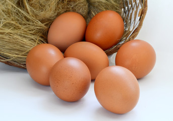 Chicken eggs in a basket on a white background