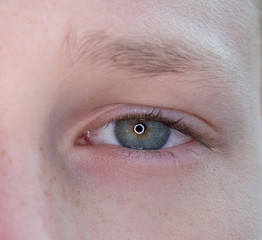 Obraz premium One eye of a teenager macro close-up