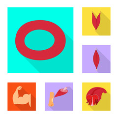 Vector illustration of muscle and cells sign. Set of muscle and anatomy stock vector illustration.