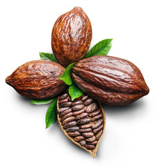 Cocoa pods and cocoa beans -chocolate basis on a white background. Clipping path.