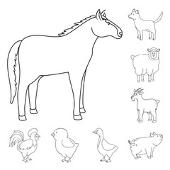 Vector illustration of homemade and countryside sign. Collection of homemade and agriculture vector icon for stock.