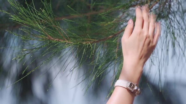 Asian woman hand was touching Pine leaf and was relaxed in the nature at the Munnok Island beach, Thailand.