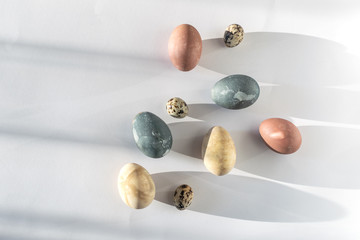 Easter celebration minimal concept - naturally coloured easter eggs in trendy hard direct sunlight