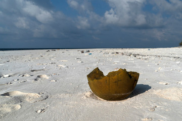 coconut on tropical island paradise sandy beach