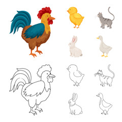 Vector illustration of breeding and kitchen  sign. Collection of breeding and organic  stock vector illustration.