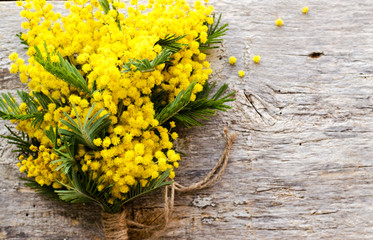 Beautiful Mimosa flower on a wooden background. - Image