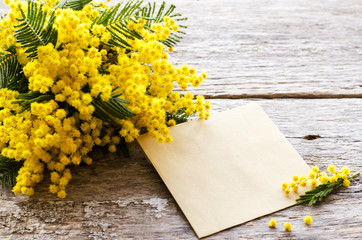 Beautiful Mimosa flower on a wooden background. - Image