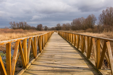 Obraz na płótnie Canvas A wooden walkway in the Kopacki Rit Nature Reserve in winter in north east Croatia. Located by the Serbian border, close to the confluence of the Drava and Danube rivers, it is one of the largest and 