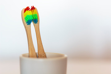 Two ecological Bamboo toothbrushes with lgbt rainbow colors