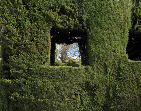  Artificial Window In Vegetal Wall