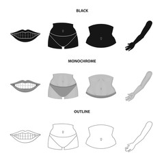 Vector illustration of body and part icon. Collection of body and anatomy vector icon for stock.