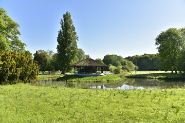 L'étang entourant l'abris en toit de chaume près du conifère majestueux au domaine provincial de Rivierenhof à Anvers