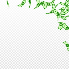 Obraz premium American dollar notes falling. Floating USD bills 