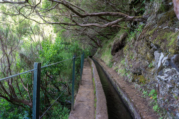 Madeira Levada Wanderung