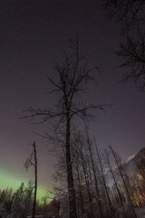 Fototapeta premium Reach for the stars