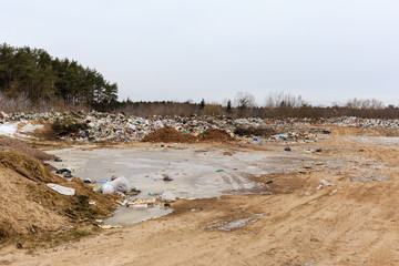 illegal landfill in the forest