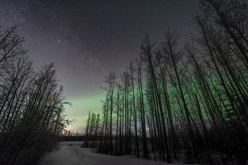 Fototapeta premium Road to Eklutna Tailrace