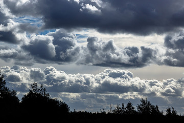 Tree silhouette and the sky after sunset