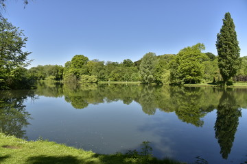 Bois luxuriant avec tilleuls se reflétant dans l'étang principal du domaine provincial de Rivierenhof à Anvers