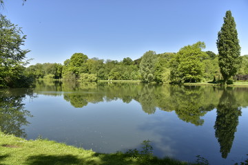 Fototapeta na wymiar Bois luxuriant avec tilleuls se reflétant dans l'étang principal du domaine provincial de Rivierenhof à Anvers
