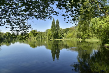 Bois luxuriant avec tilleuls se reflétant dans l'étang principal du domaine provincial de Rivierenhof à Anvers