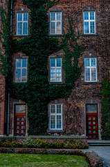Fototapeta na wymiar Beautiful old three-story brick house entwined with ivy.