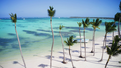 aerial view of a wonderful caribbean tropical exotic beach in Punta Cana, Dominican Republic
