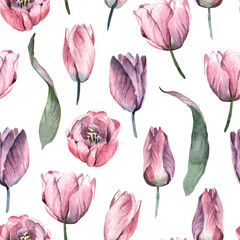 Watercolor seamless pattern,  gentle pink flowers of tulip with green leaves on white background.