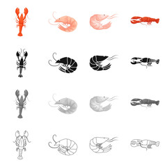 Vector illustration of appetizer and ocean symbol. Collection of appetizer and delicacy vector icon for stock.