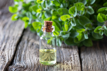 Obraz na płótnie Canvas A bottle of oregano essential oil with fresh oregano twigs