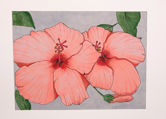 flower floral illustration