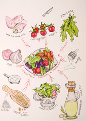 illustration recipe salad