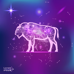 Fototapeta na wymiar buffalo . Polygonal wireframe buffalo silhouette on gradient background. Space, futuristic, zodiac concept. Shine neon style vector illustration