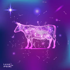 Fototapeta na wymiar cow. Polygonal wireframe cow silhouette on gradient background. Space, futuristic, zodiac concept. Shine neon style vector illustration