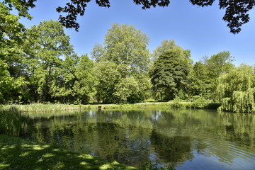 Les différent sortes d'arbres reflétant dans l'étang principal au domaine provincial de Rivierenhof à Anvers 