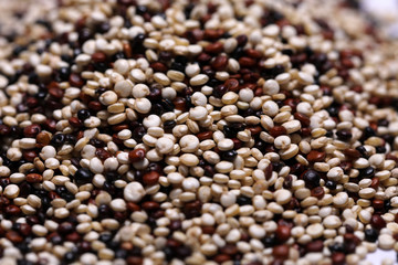 Quinoa drei Sorten Mischung