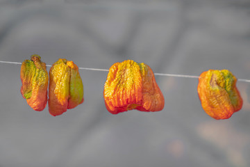 Dried and winter prepared eggplant, pepper and stuffed peppers