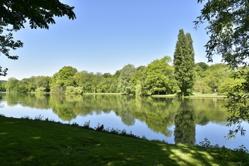 Les deux peupliers majestueux parmi la végétation luxuriante se reflétant dans l'étang principal au domaine provincial de Rivierenhof à Anvers