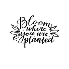Bloom where you are planted - motivational, inspirational quote, hand-written text, lettering, vector illustration isolated on white background